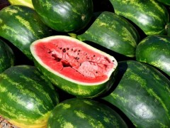 種植西瓜怎么施肥？基肥施不足會有什么后果？